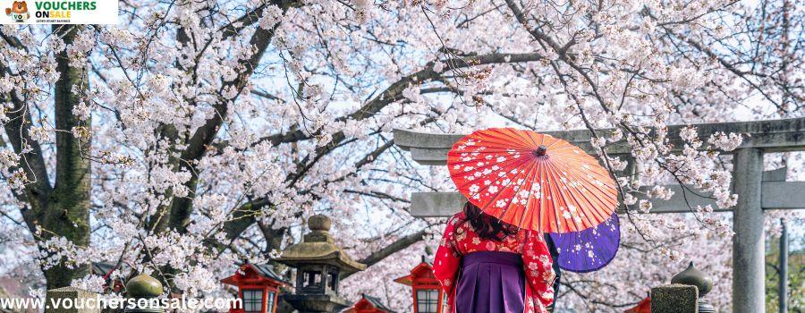Sakura Matsuri Floral Display - Cherry Blossom Festival Deals & Offers in Singapore