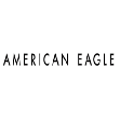 american-eagle-image